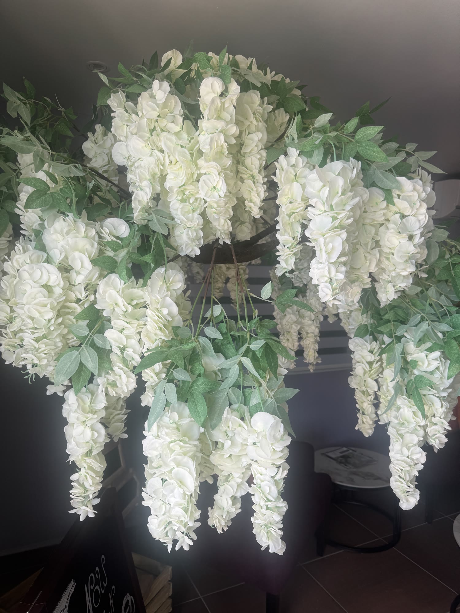 The wisteria wall — the afternoon light comes in low through the leaves.